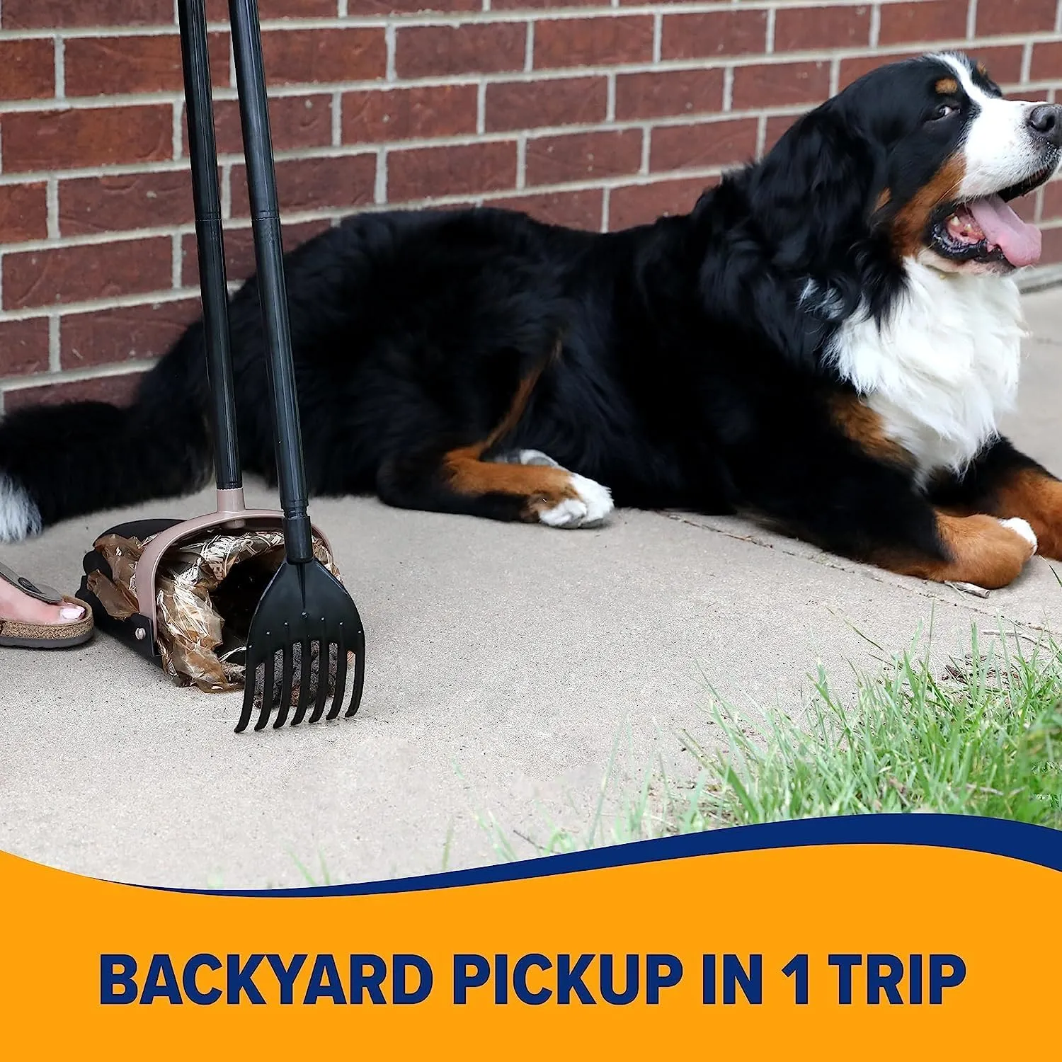 Arm & Hammer - Swivel Bin & Rake Dog Poop Scooper