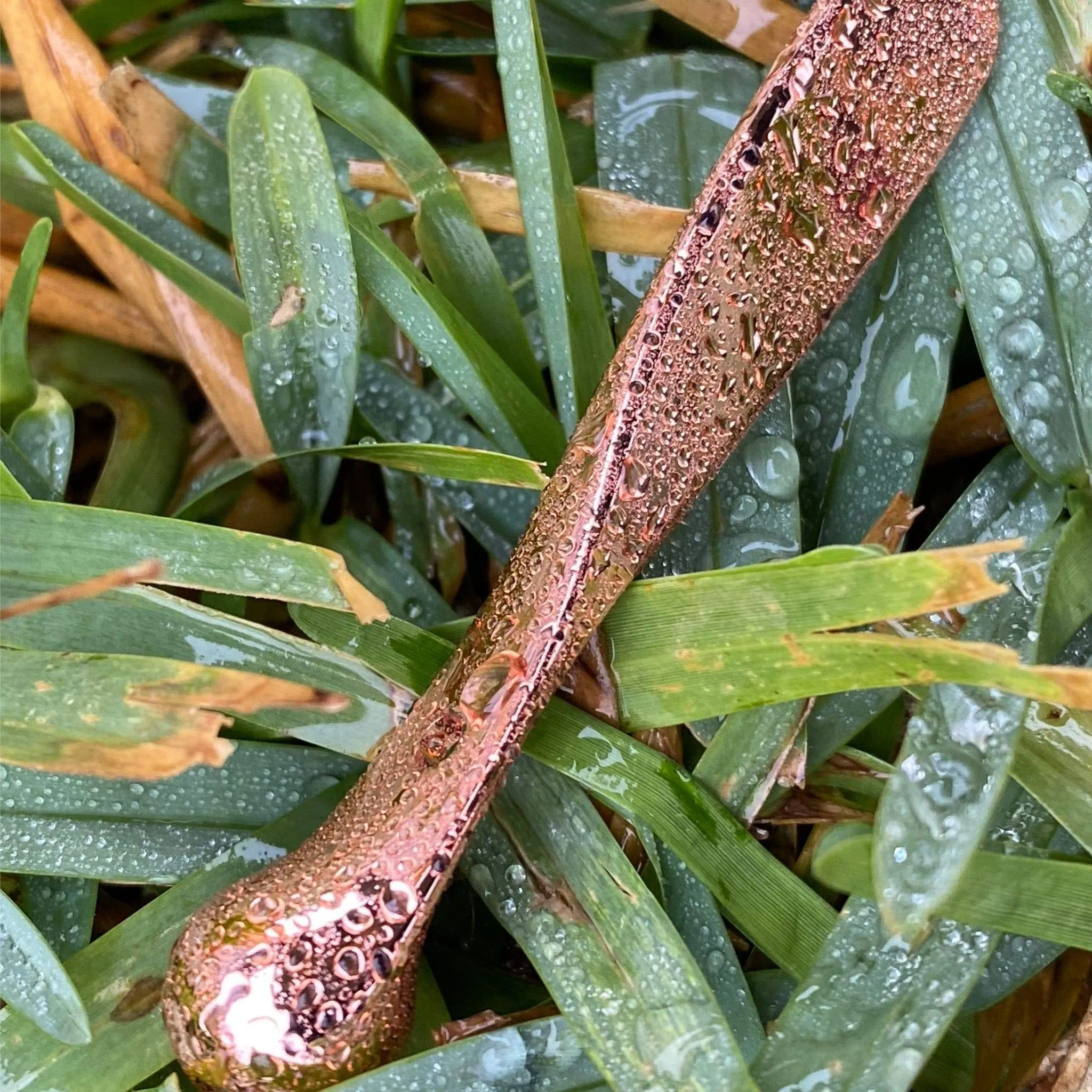 Rose Gold Beauty Wand